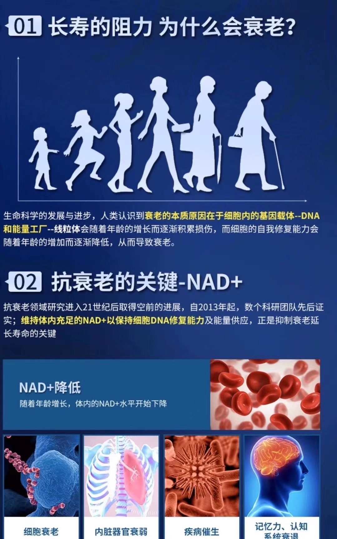 01長壽的阻力 為什么會衰老?02 抗衰老的關(guān)鍵-NAD+