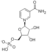 NMN 煙酰胺單核苷酸