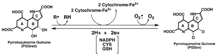 包含圖片、插圖等的外部文件。
對象名稱為 biomolecules-11-01441-g001.jpg