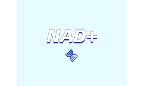 為什么要增強(qiáng)NAD+？