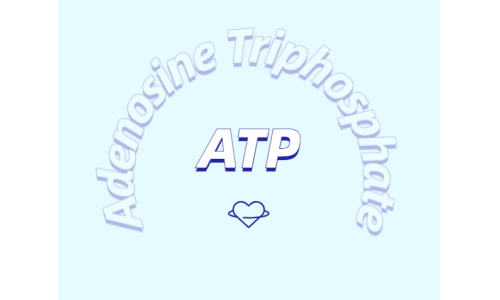 ATP補充劑對運動有什么益處？